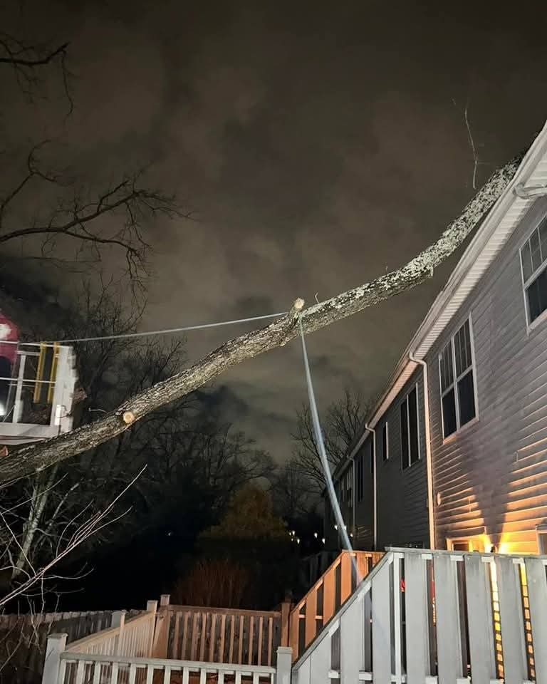 Emergency Tree Services PA Emergency Tree Services PA