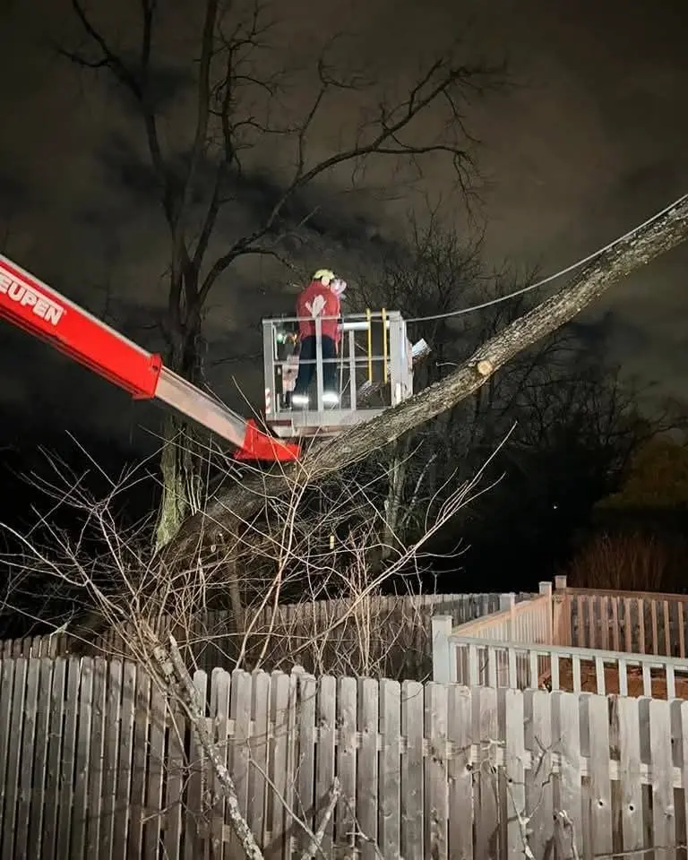 Emergency Tree Services Emergency Tree Services