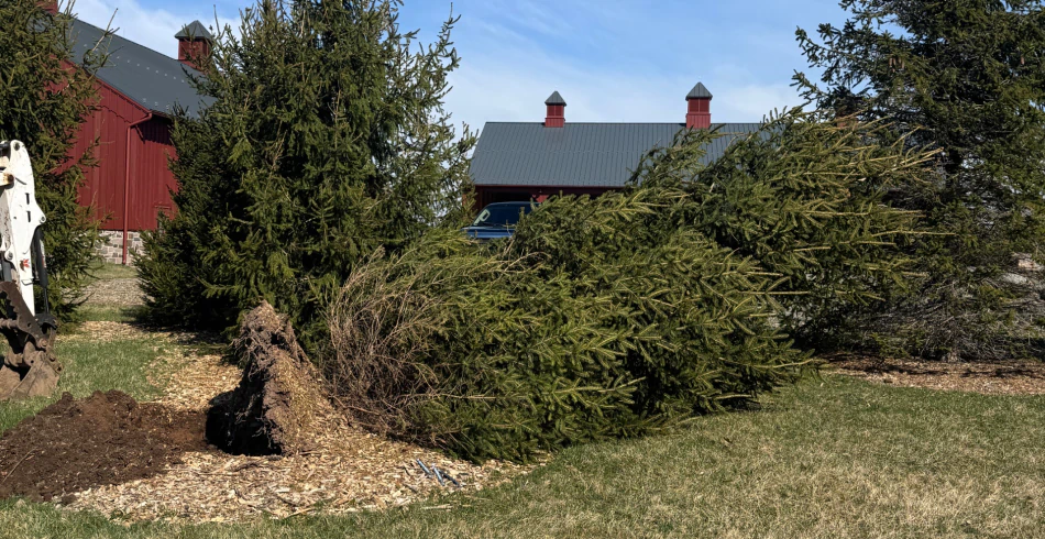 Tree Health Care & Arborist Services Tree Health Care & Arborist Services
